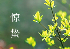 兴业卓辉｜惊蛰到，万物生