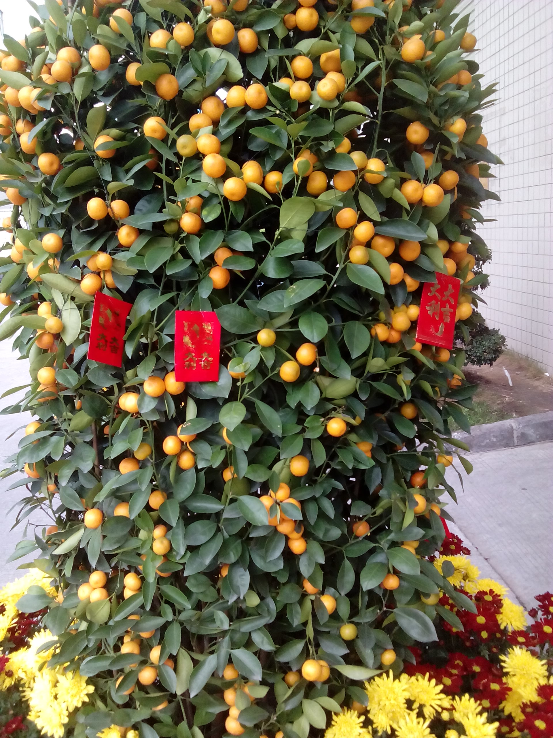 兴业卓辉 兴业卓辉